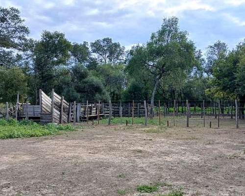 En Venta Campo Mixto Oportunidad de Inversión y Rentabilidad