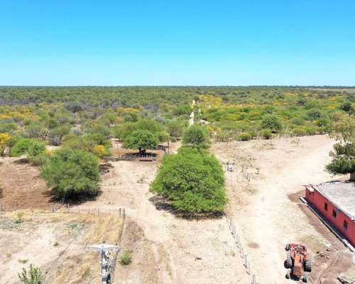 Campo Agrícola Ganadero 285 HA, las Playas, Córdoba.