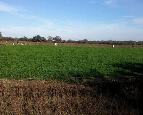 Campo Mixto Agricola - Ganadero - Santiago del Estero 35%off