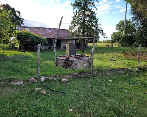 Venta de 25 Has en Mercedes (corrientes) en Zona Urbana