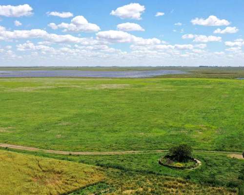 Pcia. de Buenos Aires - Cañada Seca 844 Has