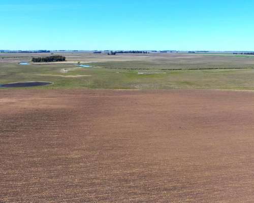 450 Has en Bolívar - BS. AS. - Mixto - Venta