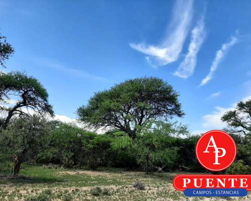En Venta 2600 HA. Carro Quemado, la Pampa