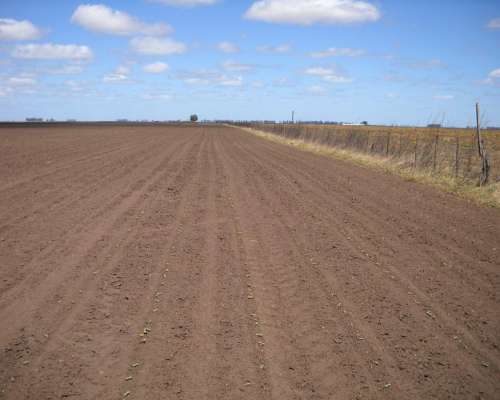 527 Has. en Venta - Corbett - 9 de Julio - Buenos Aires.