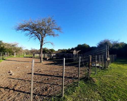 248 Ha Mixtas Mayormente Agrícola. en Rosario del Tala