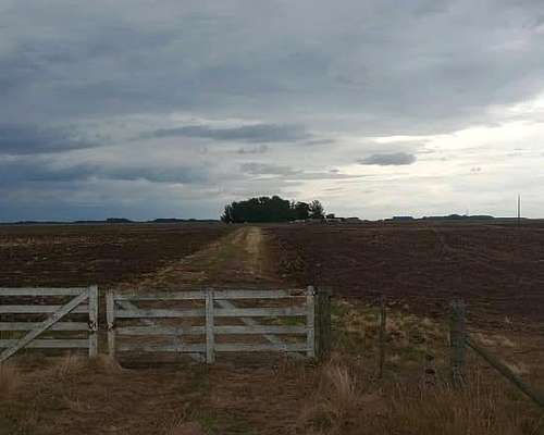 133 Has Campo Mixto Agrícola Ganadero en Lobería