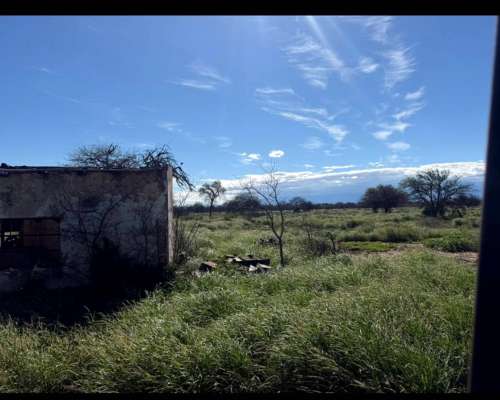 Catamarca 6300 Has Mixtas Desarrolladas