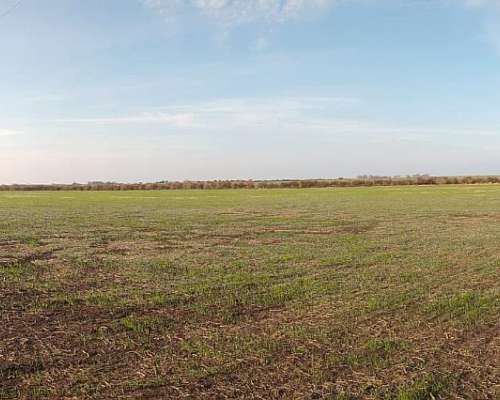 25 Ha en Nogoyá a Pocos km 12 Mayormente Agrícola