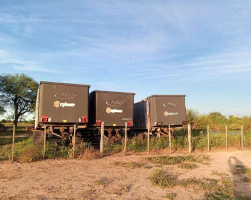 Carros Forrajeros Fliegl de 38 y 40 Mts