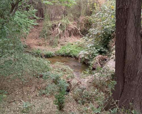 Media Naranja - Cruz del Eje - Córdoba