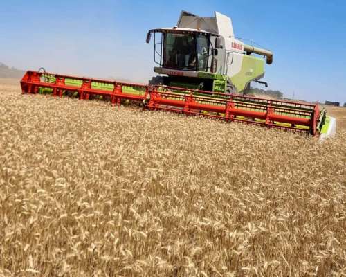 Cosechadora Claas Lexion 750