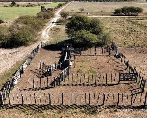 Venta Campo Mixto. 196 HA. la Camila, Santa FE.