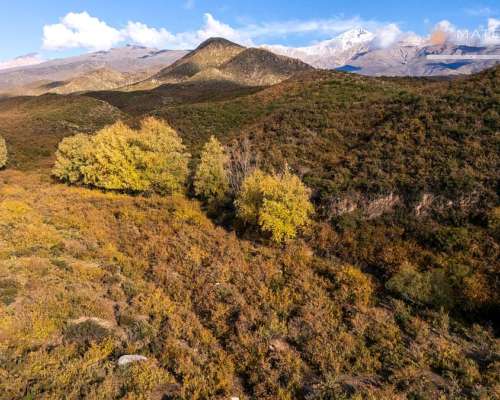 200 Has. Finca en los Arboles, Mendoza