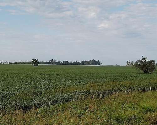 Vendo 180 Has en Cuatro Bocas