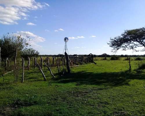 Campo Ganaderos en Villaguay - E. Ríos.