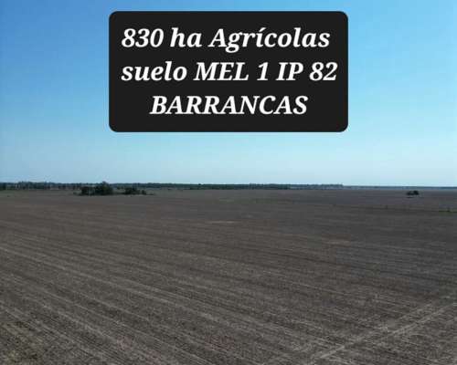 Barrancas Santa FE Agrícolas