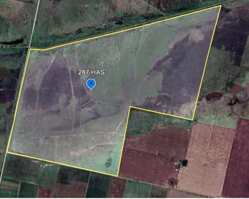 Campo en Venta Colonia Belgrano 287 Has Ganaderas