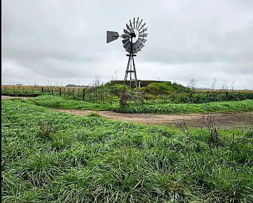 Campo Venta Magdalena 800 Ha Ganadero