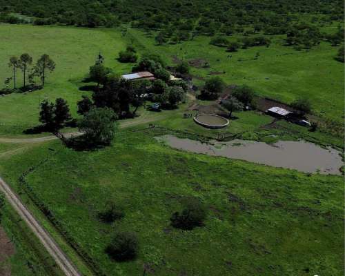 Venta 460has Zona Federal