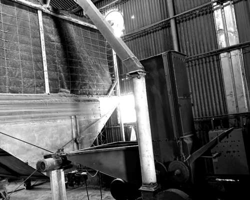 Peletizadora Alfalfa + Molienda