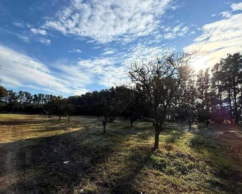 Campo de 10 Hectáreas