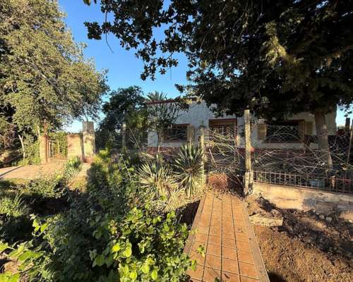 Finca 5.5 Ha con D° de Riego, Junin, Mendoza
