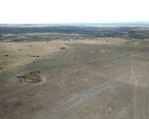 Vende Campo - 80 Ha - Fraga, San Luis
