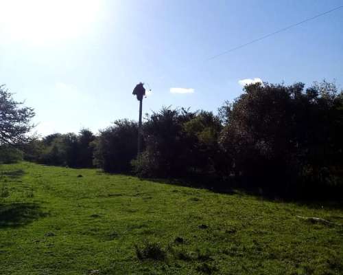 Campo Ganaderos en Villaguay - E. Ríos.