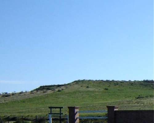 Campo 6500 Ha Sobre Ruta Puan, Bahia Blanca