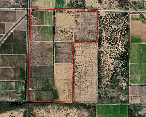 Finca en Venta 47.5 Ha Jocolí, Mendoza