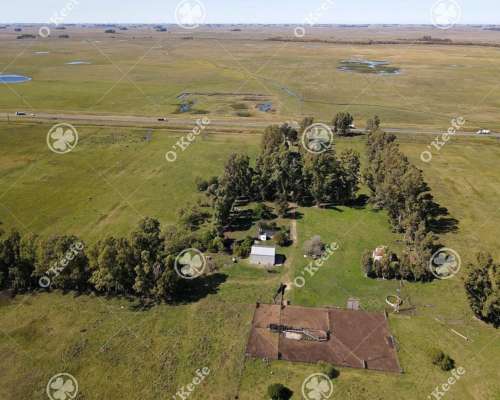 Campo en Venta de 1420 Has en Azul. Ganadero