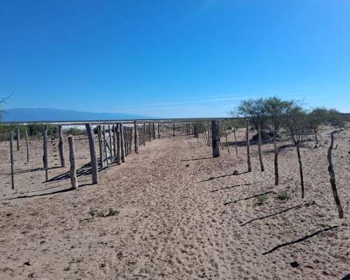 Campo Ganadero Pampas Blancas, en la Rioja, 11500 Has