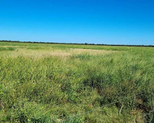 Formosa, Campo Desarrollado Chacras