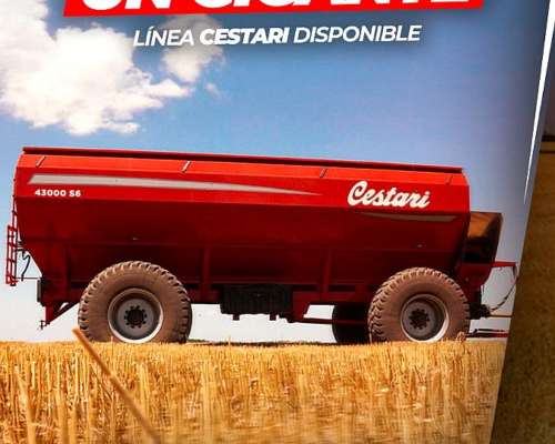 43000 S6 Cestari, para Todos los Equipos