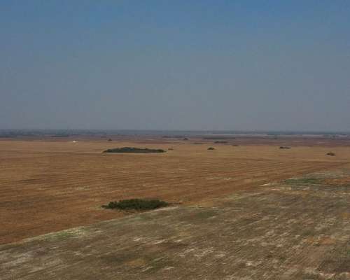 Santa FE Santa Margarita 3.700 Has Mixtas Canpaso