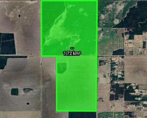 En Venta 170 Hectareas Limpias