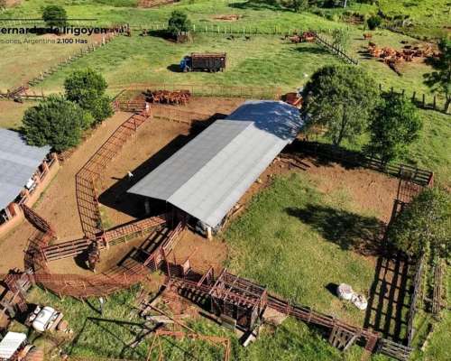 Campo en Venta Bernardo de Irigoyen – Misiones – Argentina