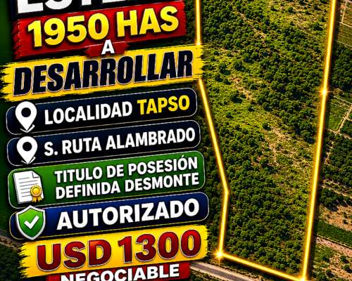 1950 Has de Monte Mixto