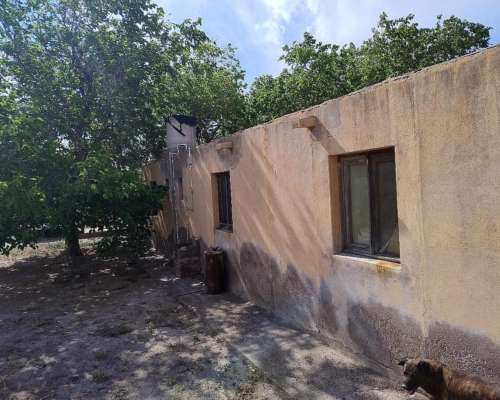 Campo con Buena Producción de UVA y Pozo con Bomba.