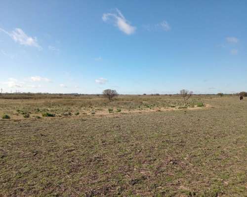 250 Ha Sobre Ruta 12. Buena Aptitud Agrícola