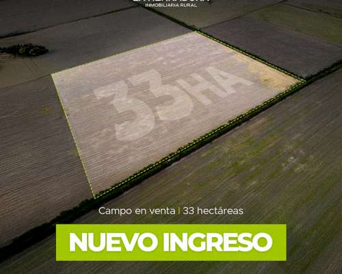 Lehmann 33 Has Agrícolas. Campo en Venta