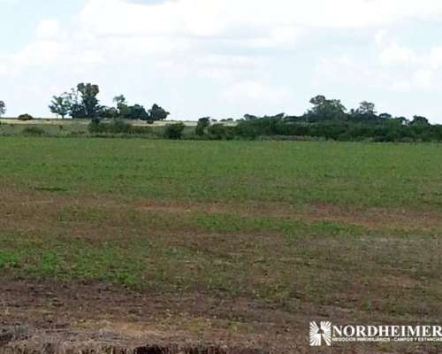 Gobernador Mansilla, Entre Ríos - 400ha