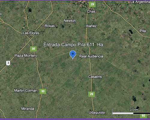 Campo Venta Pila Mixto 611 Ha