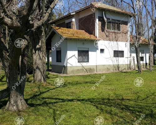 Chacra en Venta 34 Has en Lezama. Ideal Producir y Disfrutar