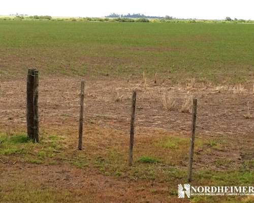 Gobernador Mansilla, Entre Ríos - 400ha