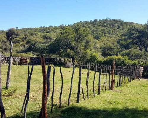 Campo de 453 Hectáreas en Villa de Soto, Córdoba.