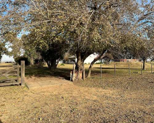 Monte Venta 370 Ha Agricolas a 1 Hora de Bsas