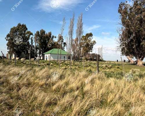 Campo en Venta de 667 Has en Gonzales Chaves