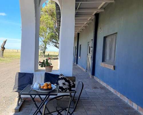 Estancia Modelo + Frigorifico -unica 300 Ha Bahia San Blas