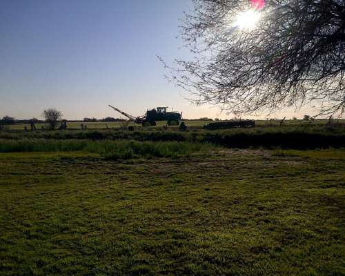 2700 Has - Ruta 127 Federal SUR - Venta
